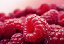 Treatment for Chronic Lymphatic Leukaemia to Replace Chemo