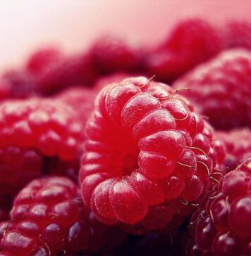 Treatment for Chronic Lymphatic Leukaemia to Replace Chemo