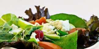 Rat Problems In Poor Neighborhoods Linked To Depressive Symptoms